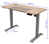 YULUKIA 100035G Electric Height Adjustable Desk with Desktop 120cm*60cm